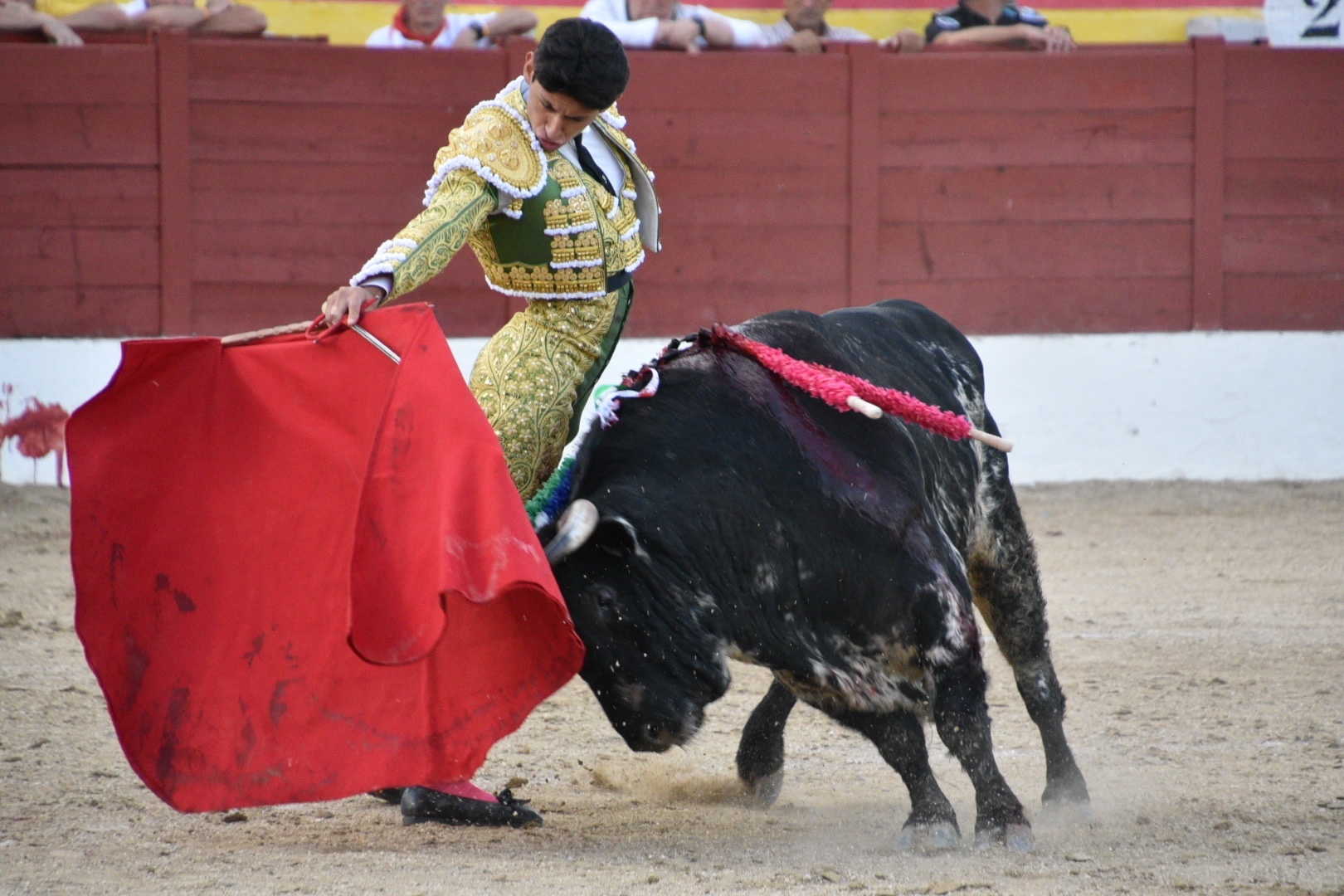 Imagen 5