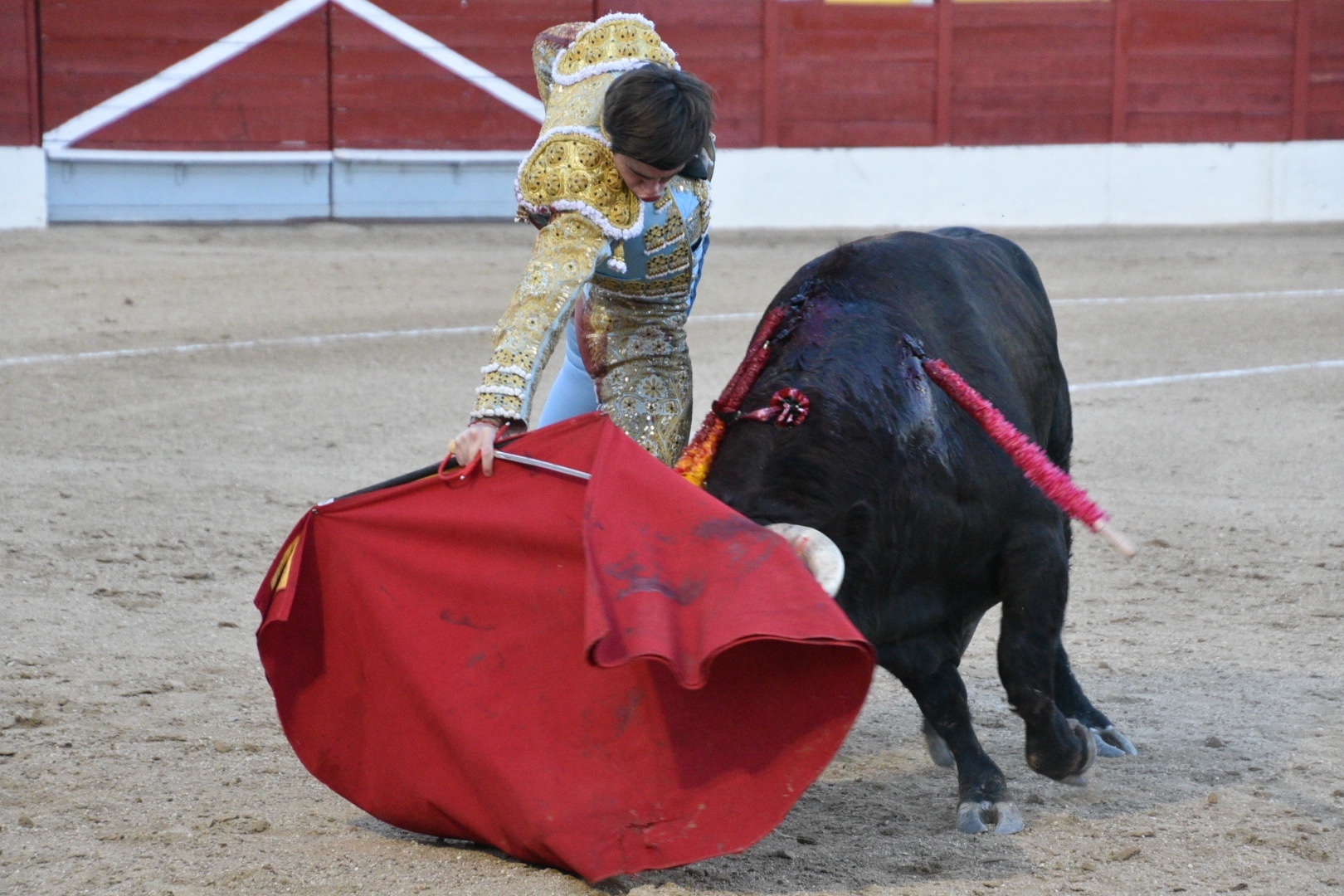 Imagen 6
