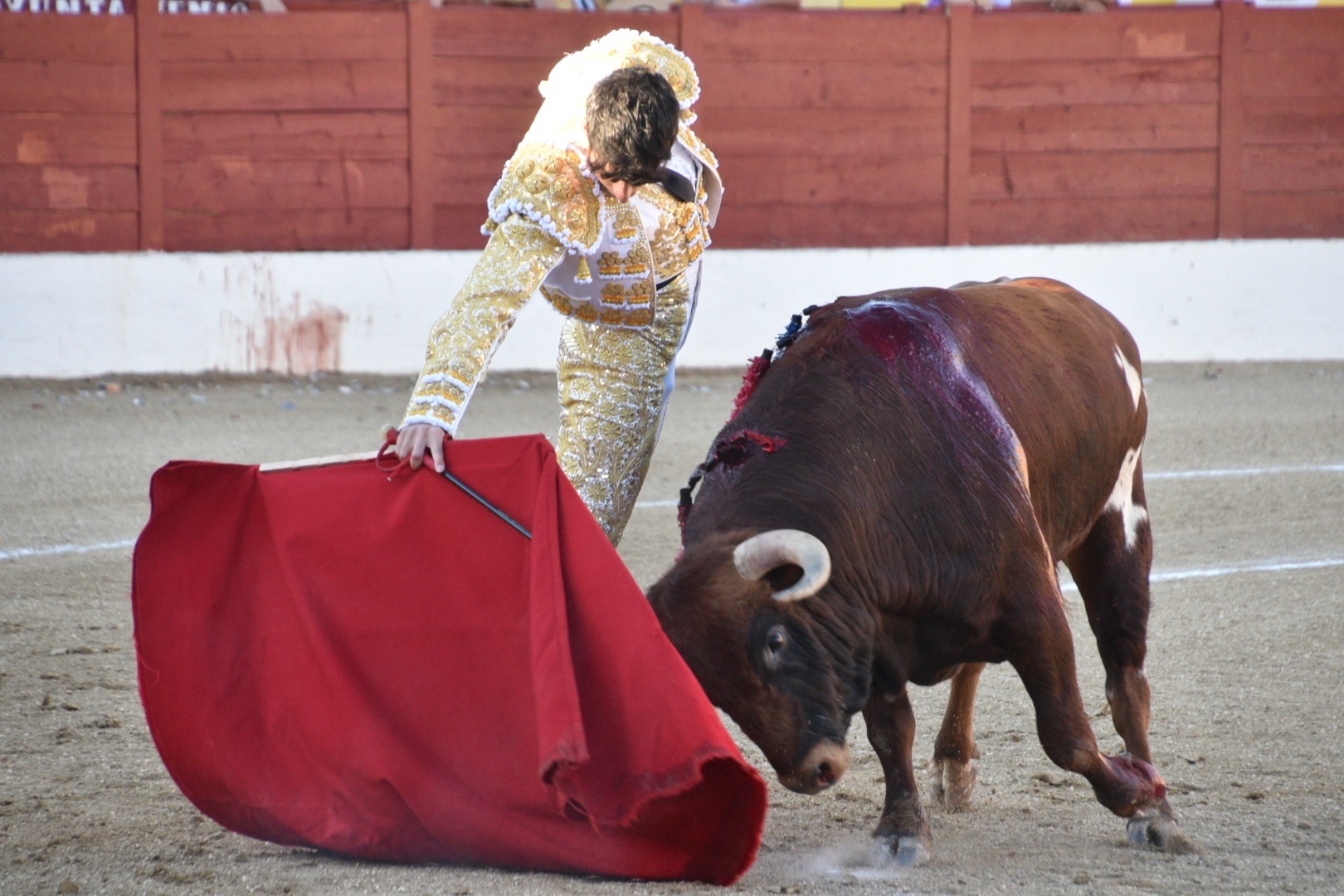 Imagen 1