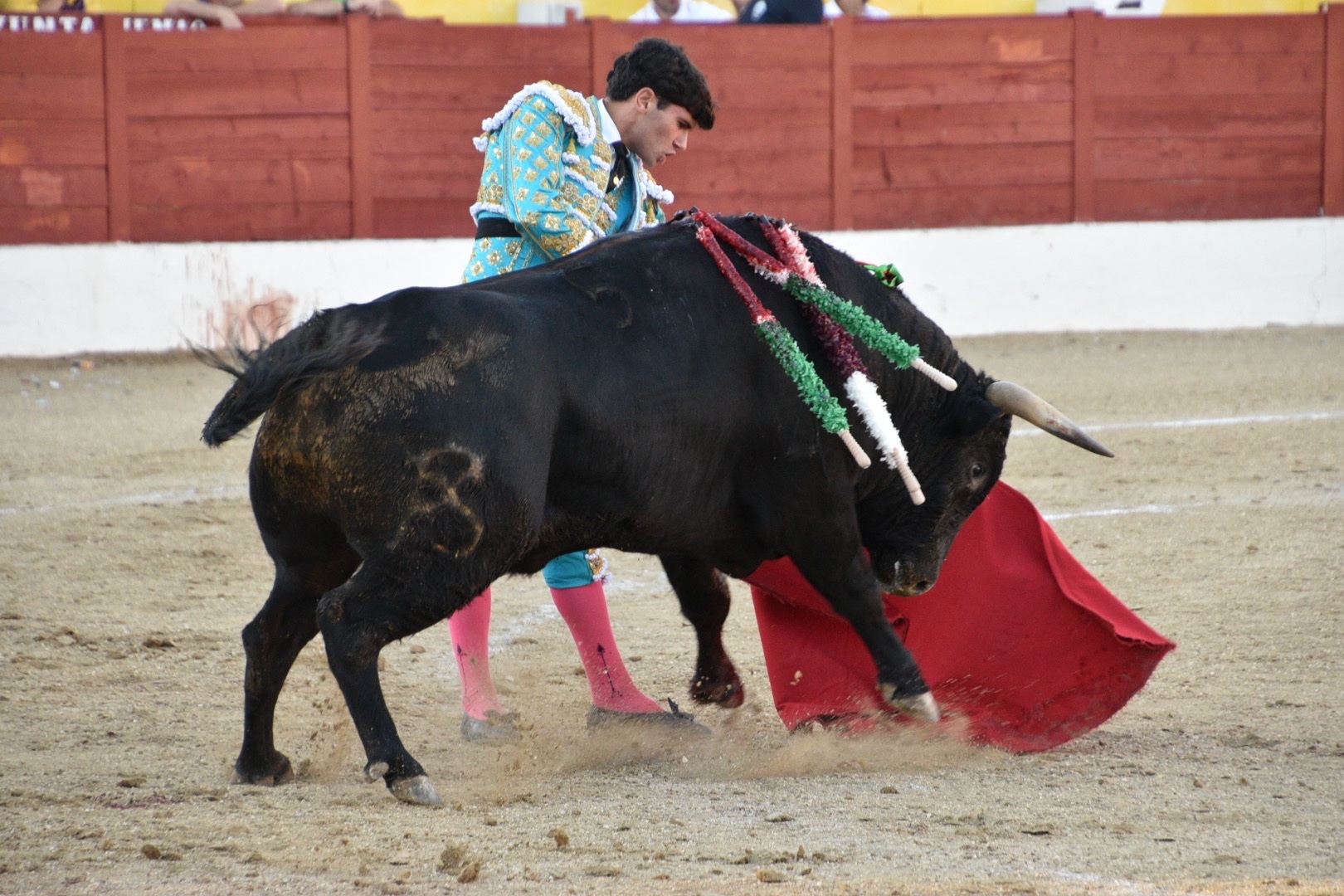 Imagen 3