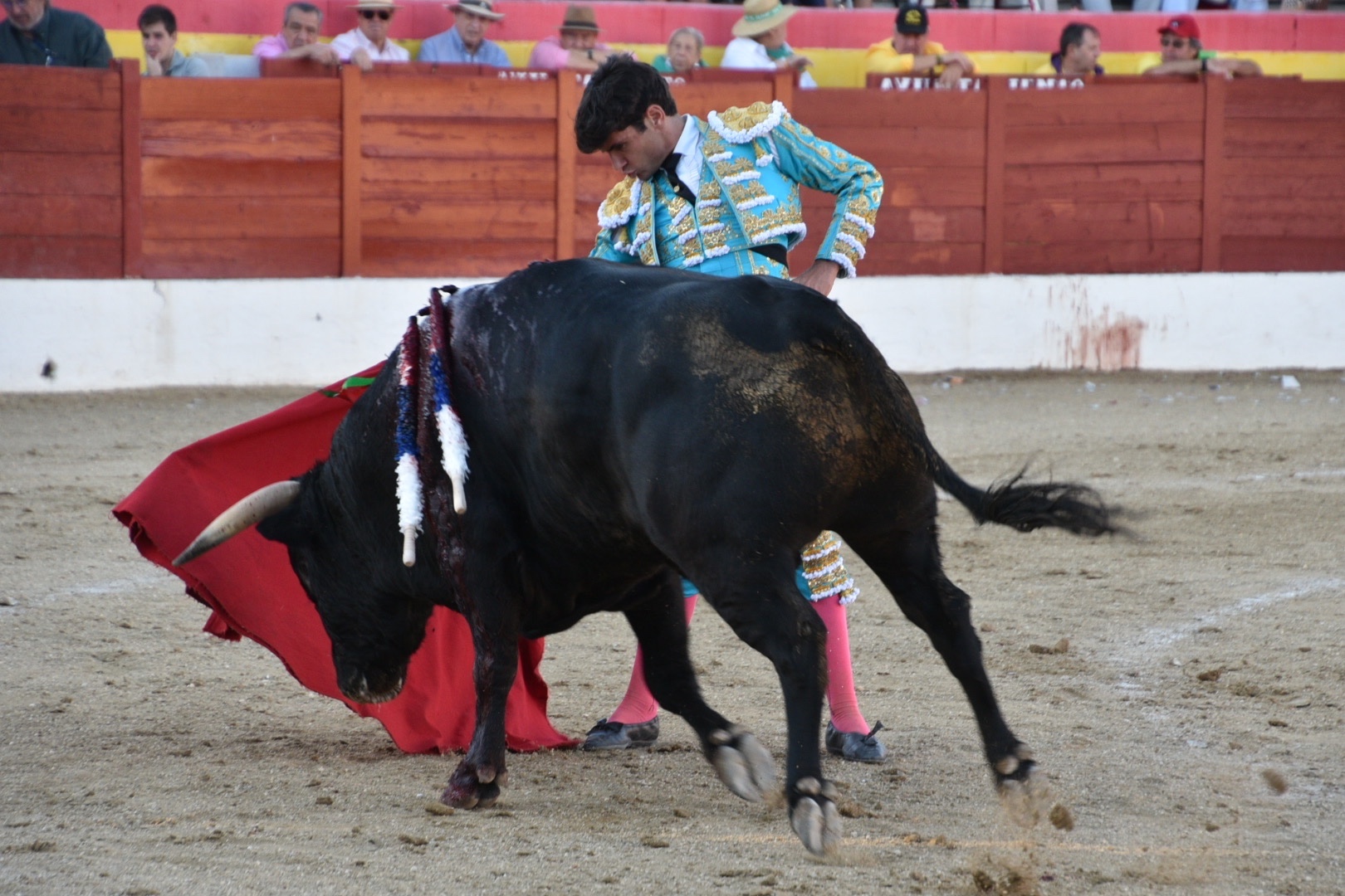 Imagen 4