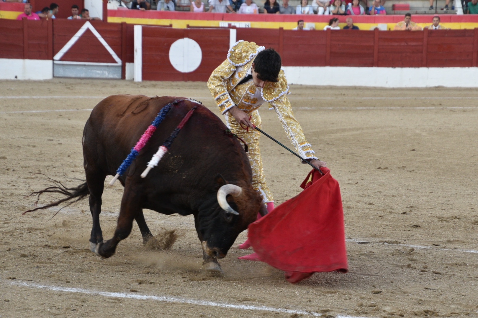 Imagen 5
