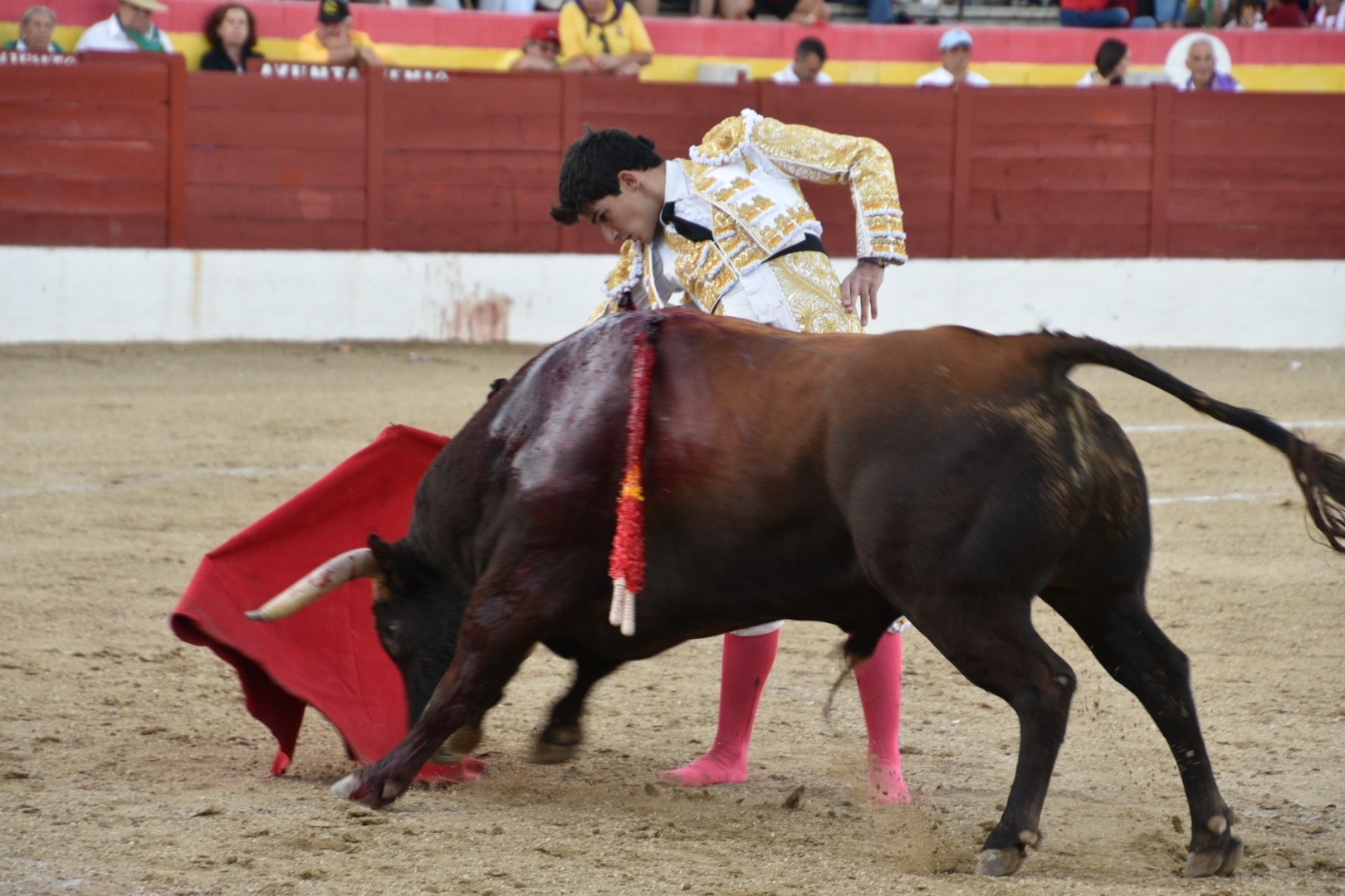 Imagen 6