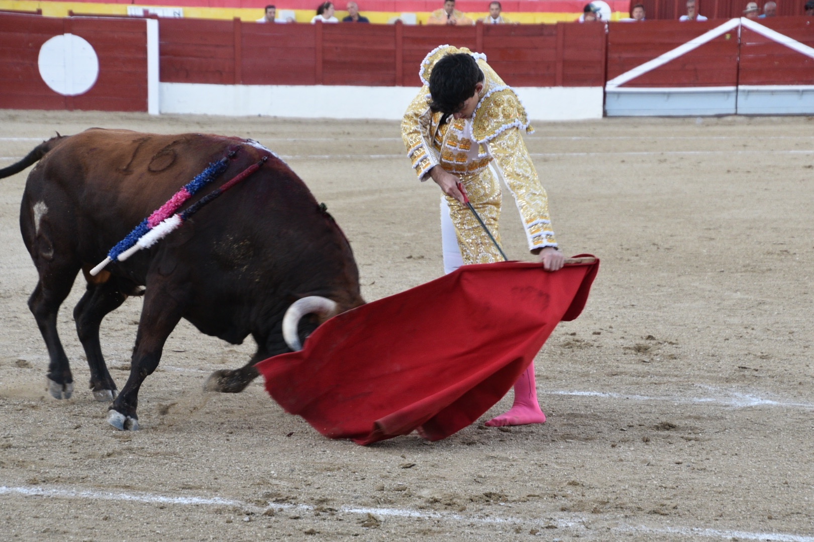 Imagen 7