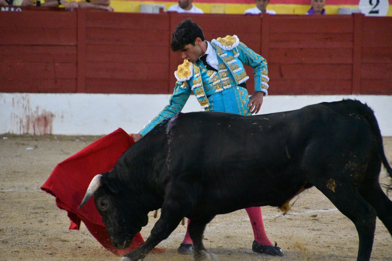 Imagen 8