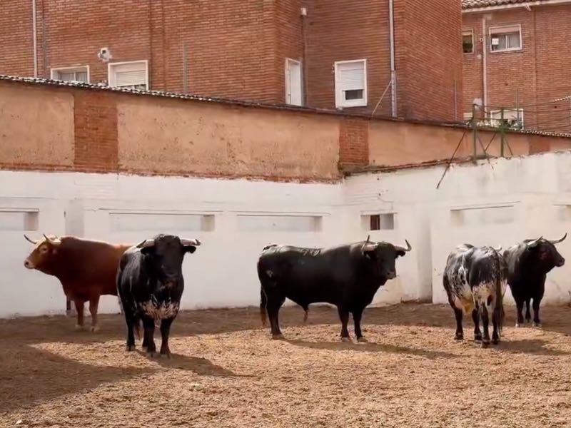 Victoriano del Río, abre el cartelazo de esta tarde en Valladolid (sorteo)