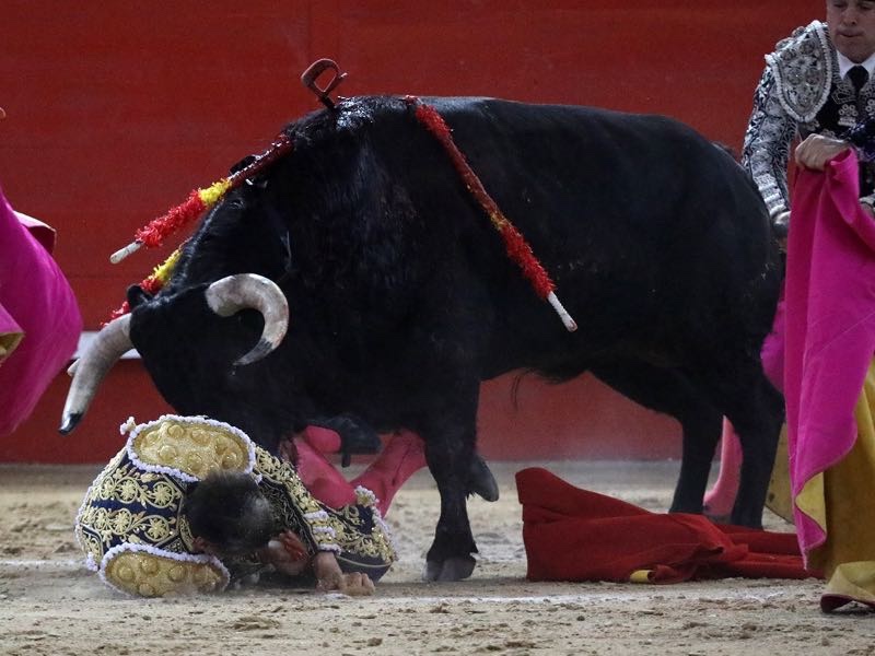 Cornada y triunfo heroico de Félix San Román en Navalcarnero: dos orejas a ley y traslado al hospital