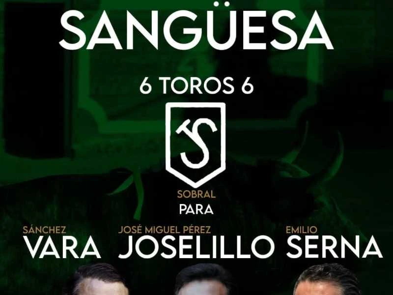 Definido el orden de lidia para la corrida de toros en Sangüesa con ejemplares de origen portugués