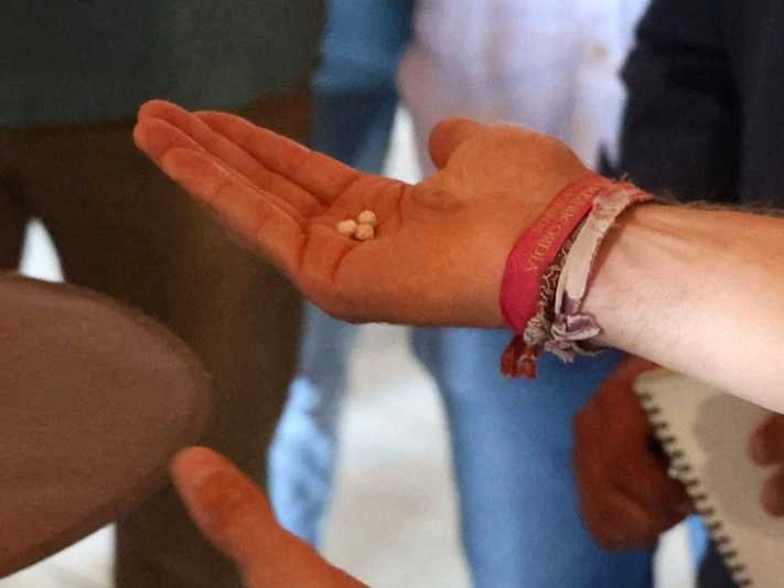 Sorteados los toros de Pallarés para la gran cita de los "Banderilleros de Oro" en Villarrubia de los Ojos