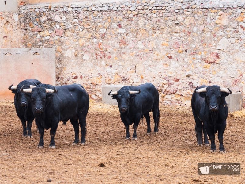 “Peluso” abre la primera corrida de las figuras en La Glorieta