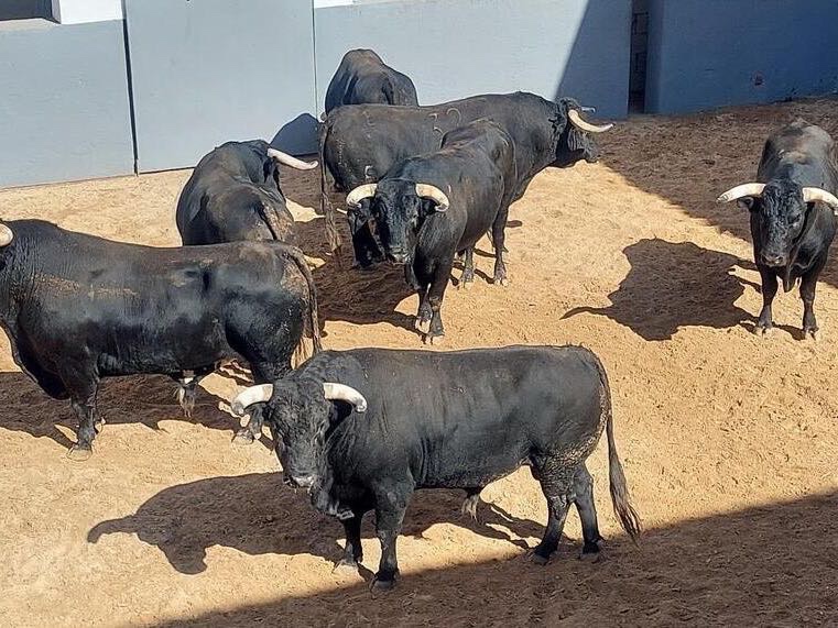 Los Espartales ya tienen orden de lidia para la gran tarde de rejones en Albacete