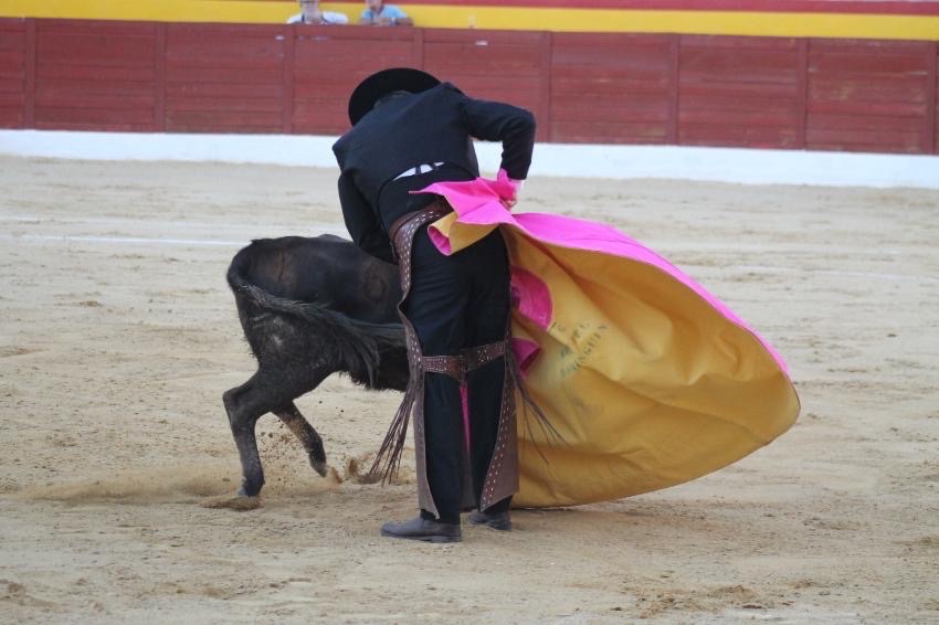 Imagen 3