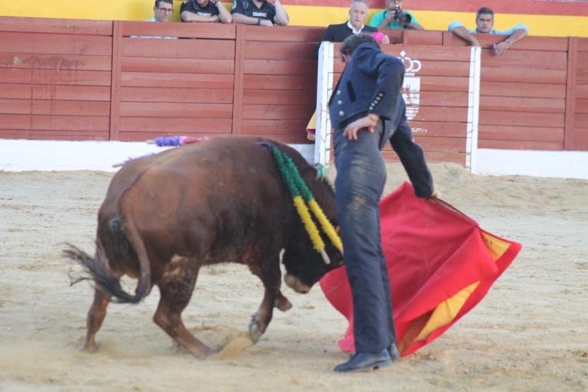 Imagen 6