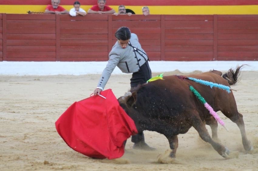 Imagen 8
