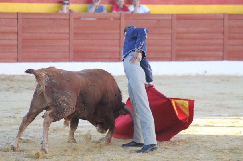 Imagen 11