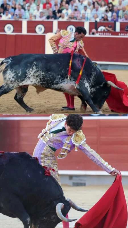 David de Miranda y Víctor Hernández destacan ante una importante corrida de Victoriano del Río en Albacete