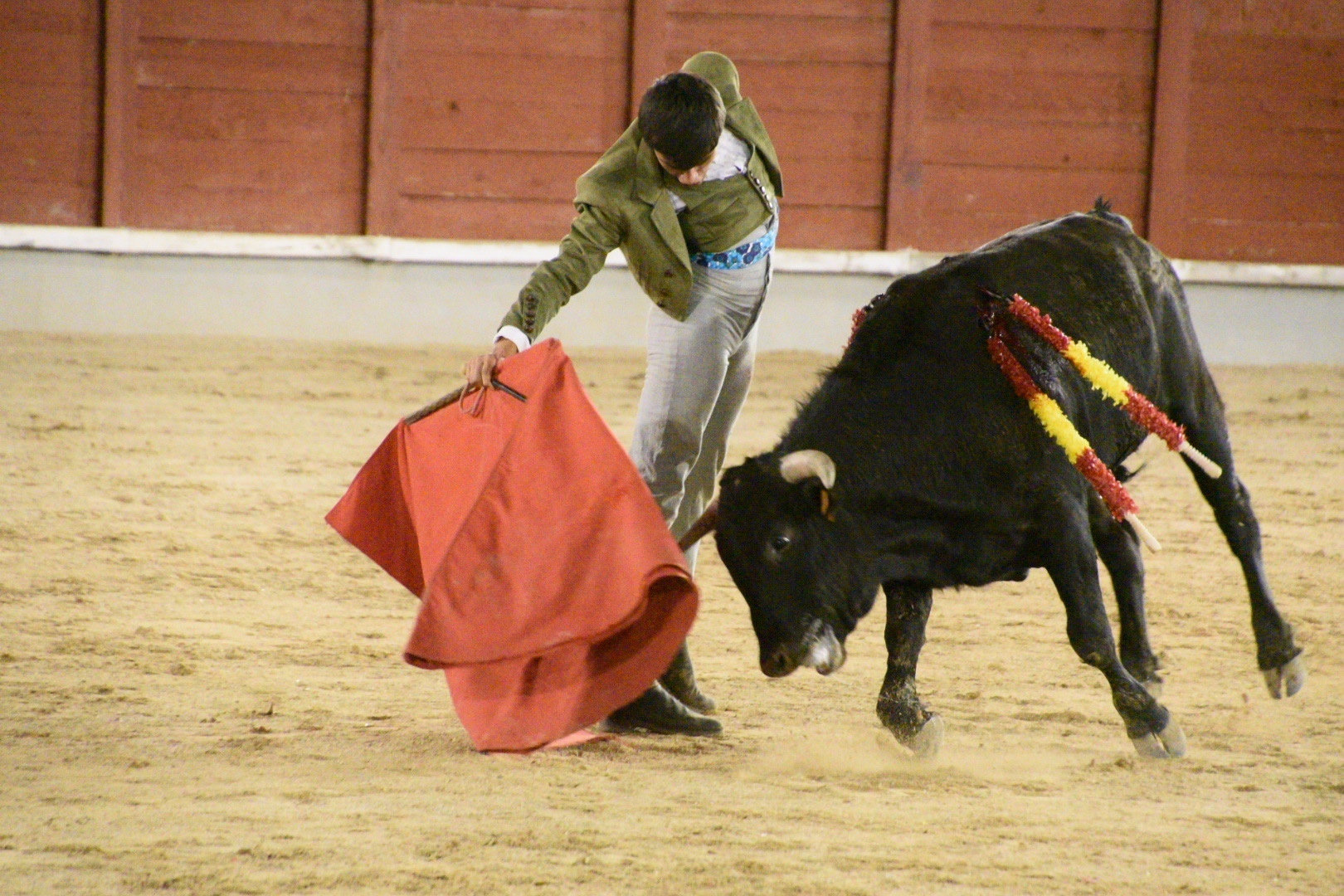 Imagen 1