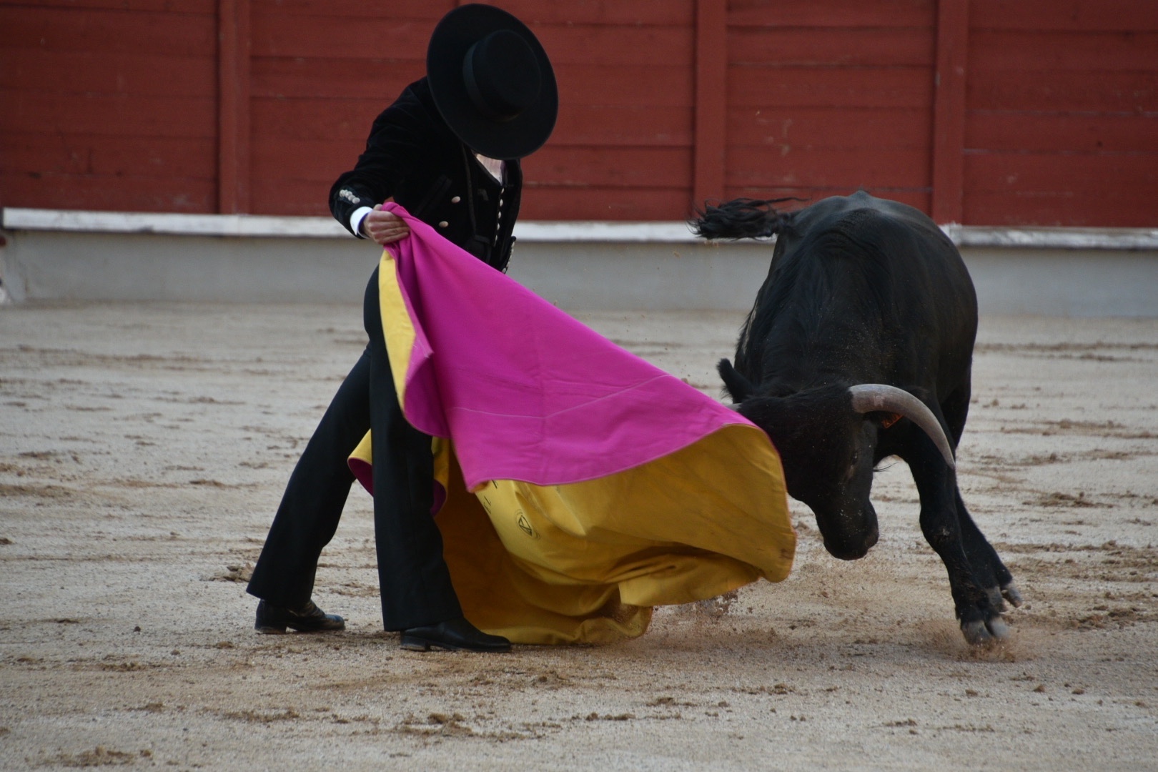 Imagen 2