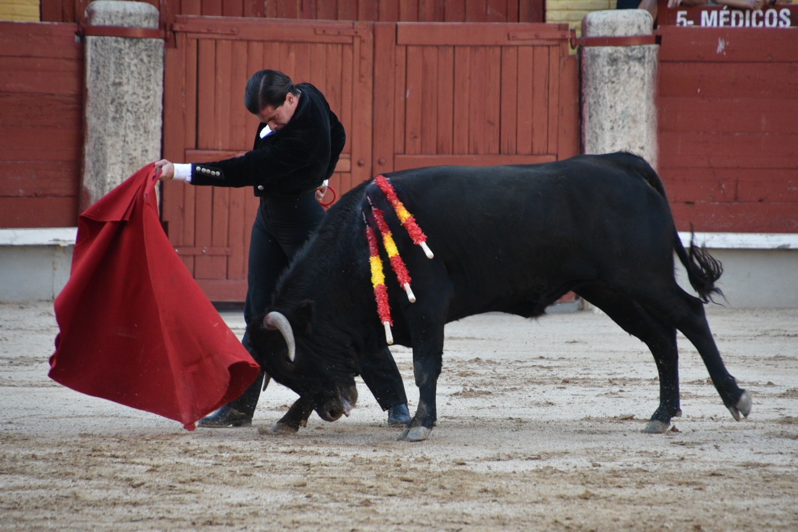 Imagen 5