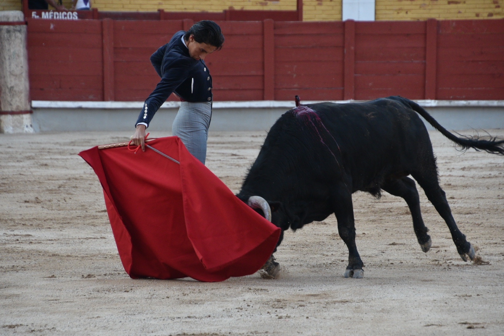 Imagen 7
