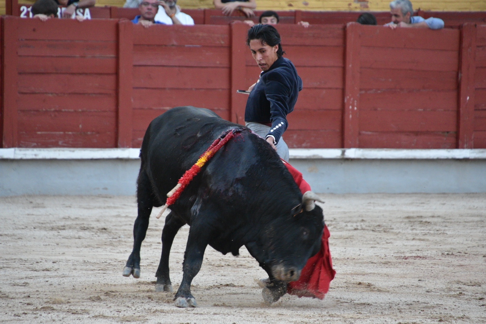 Imagen 8