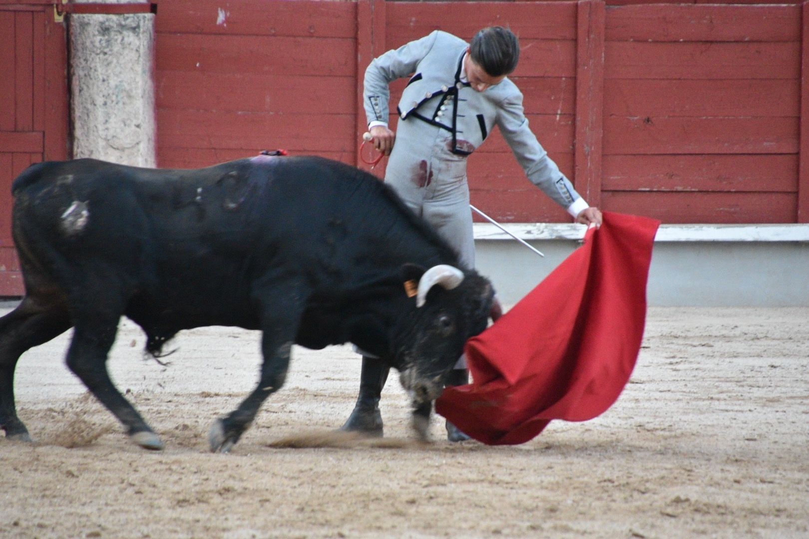 Imagen 9