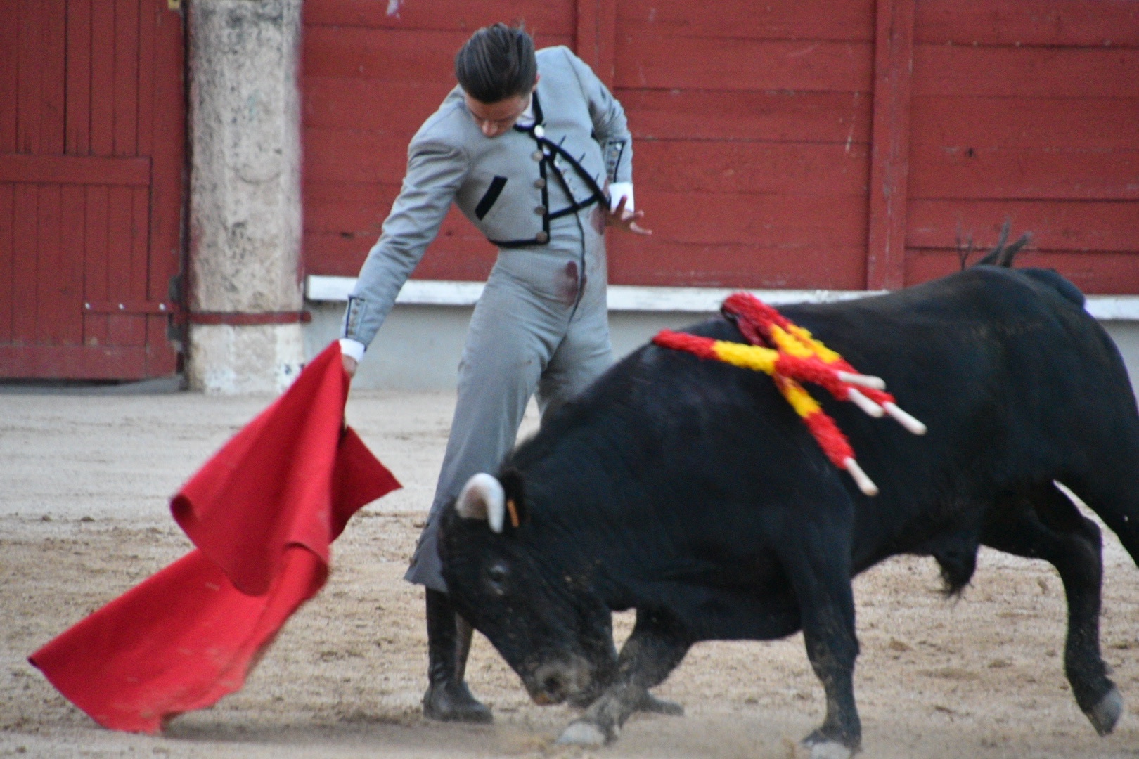Imagen 10