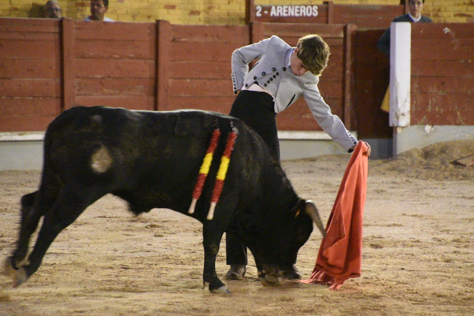 Imagen 11