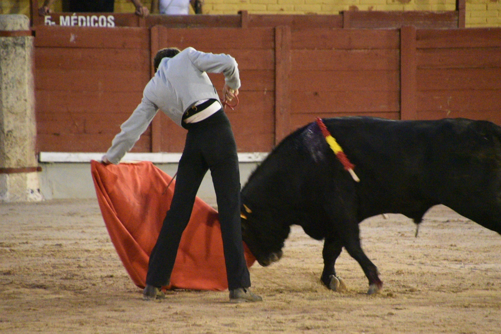 Imagen 12