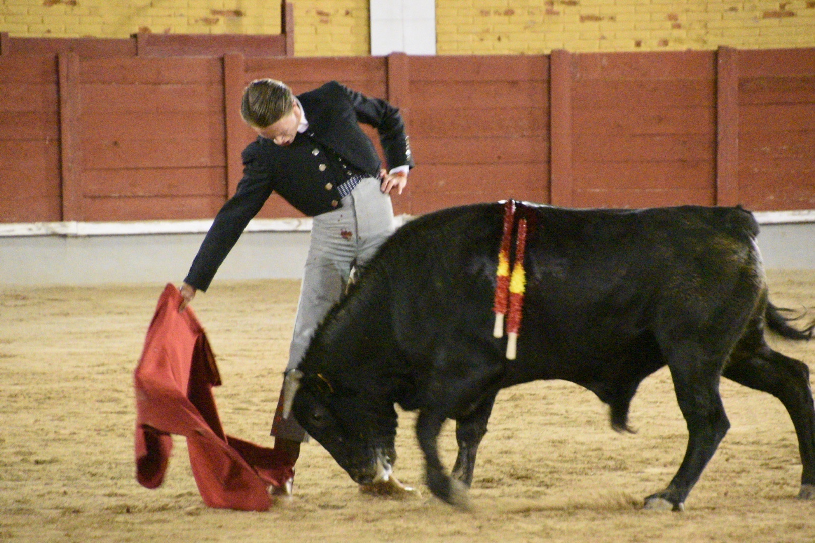 Imagen 14