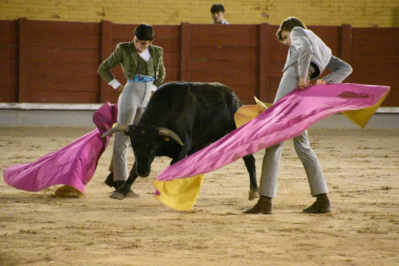 Imagen 15