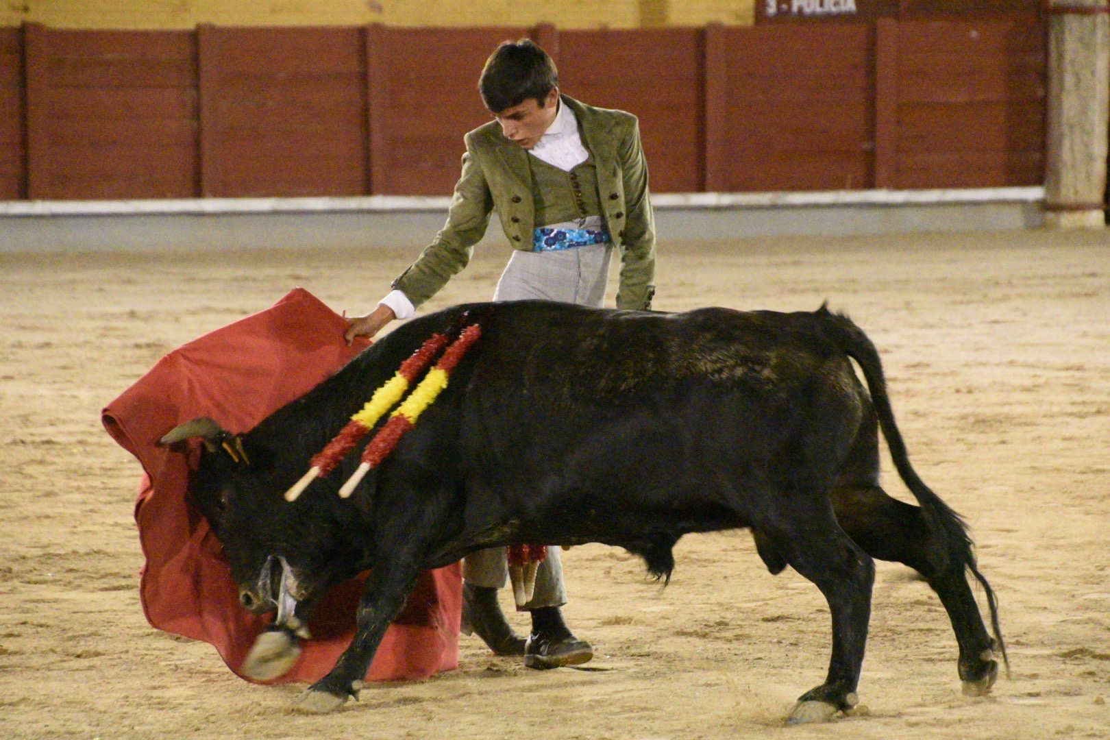 Imagen 16