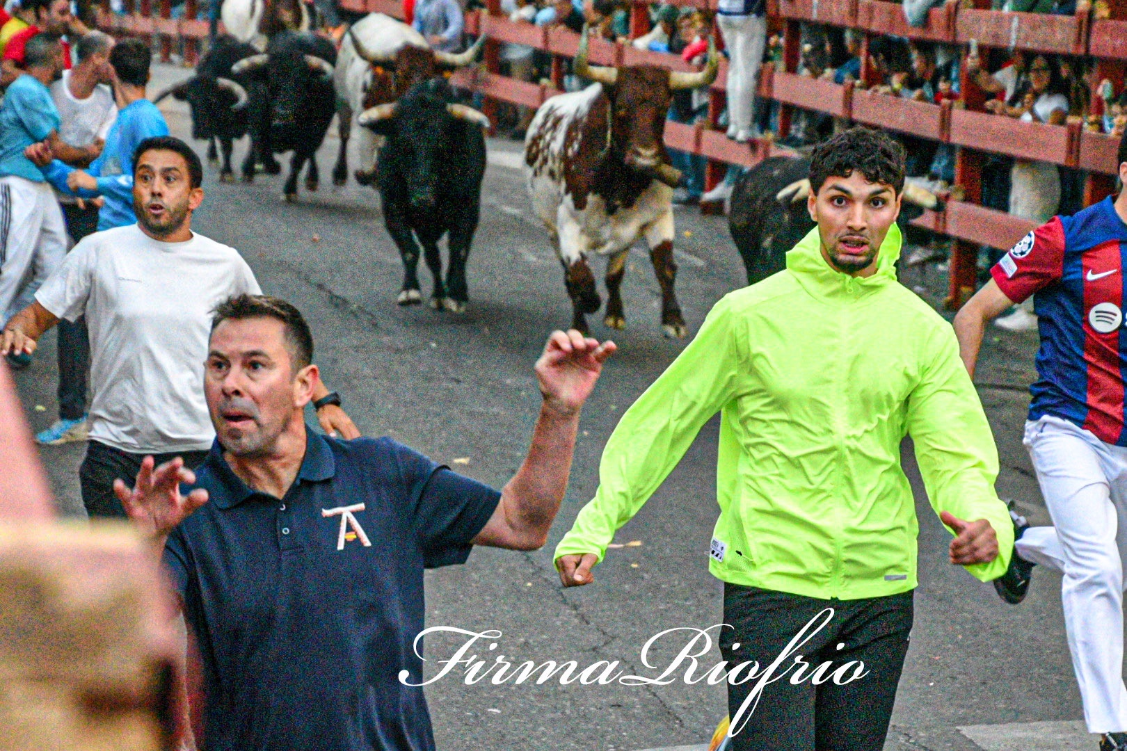Imagen 2