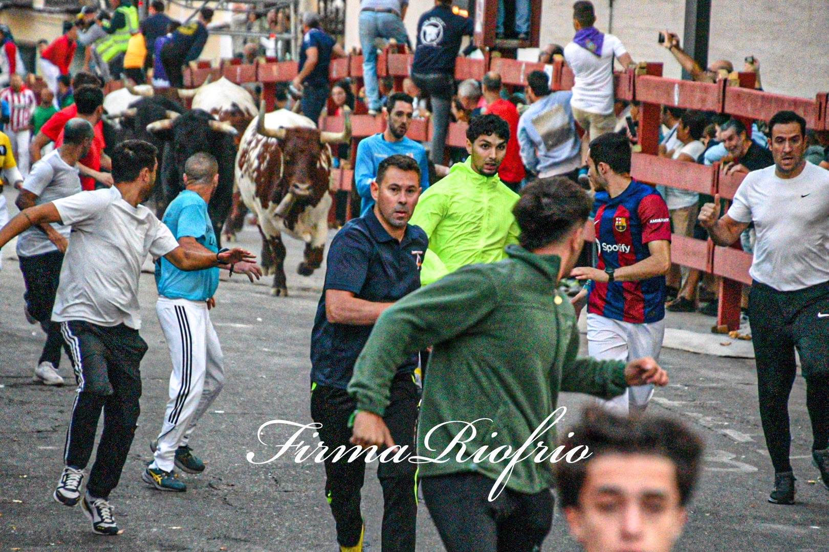 Imagen 3