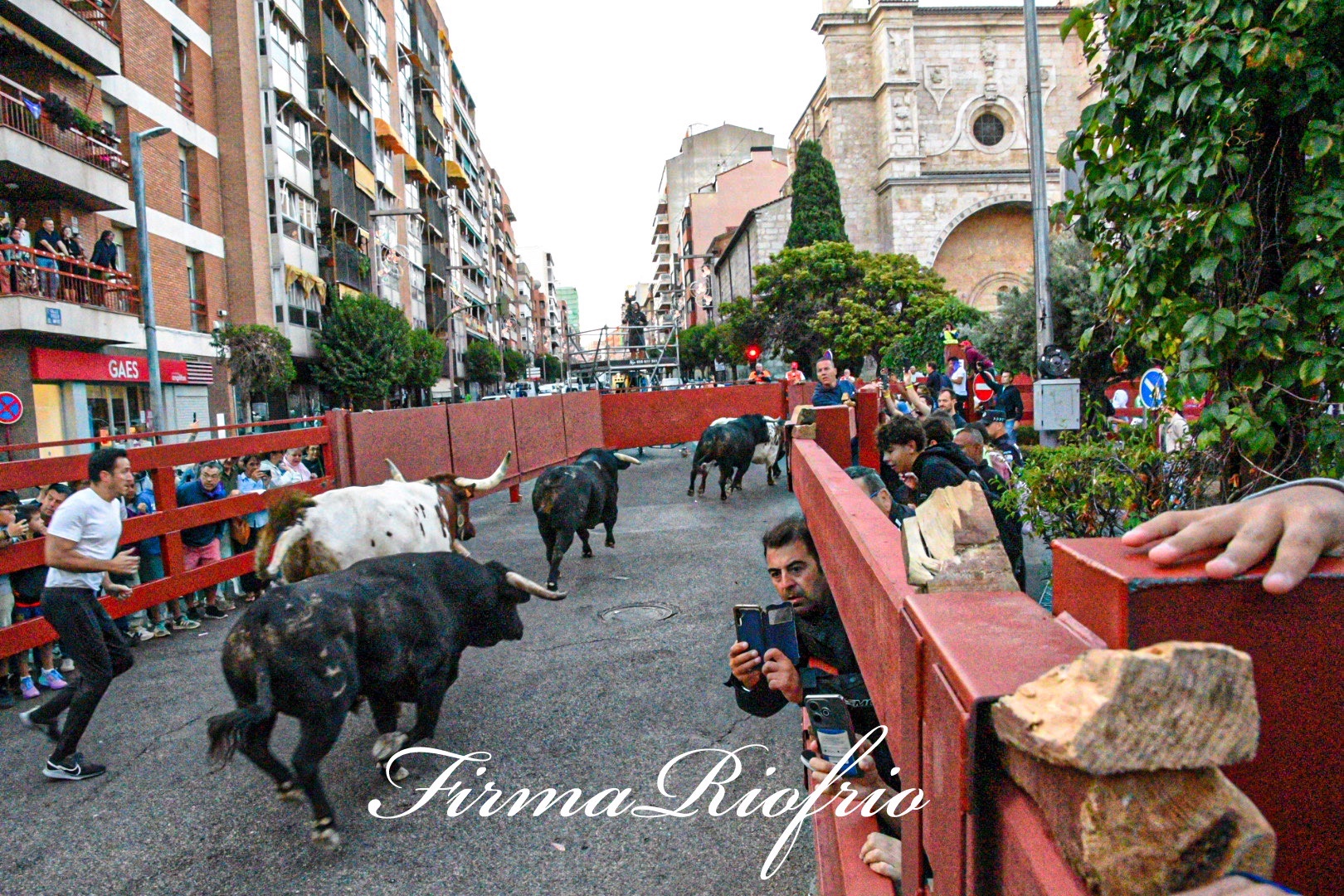 Imagen 4