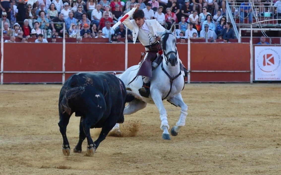 Imagen 1