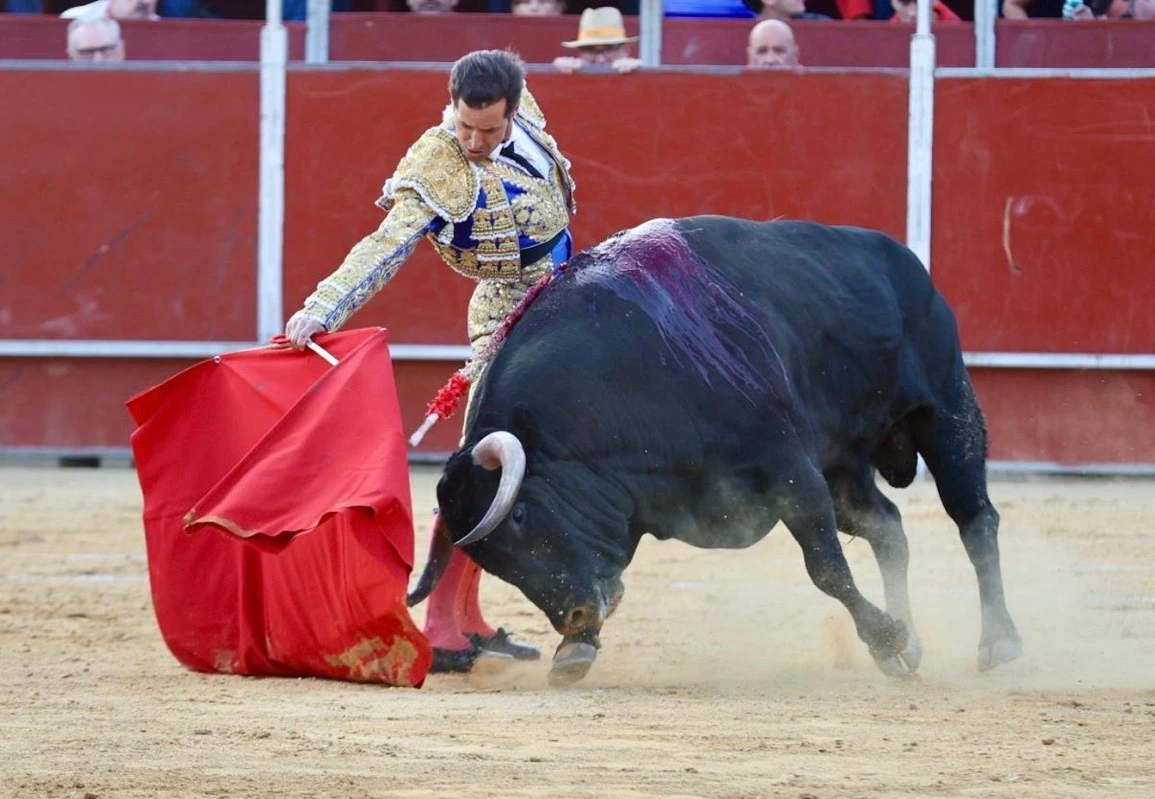 Imagen 2