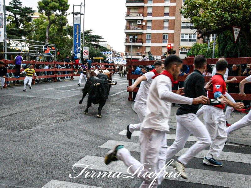 Núñez del cuvillo lleva la emoción a las calles de Guadalajara