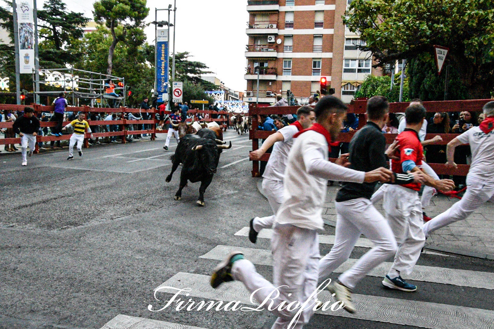Imagen 2