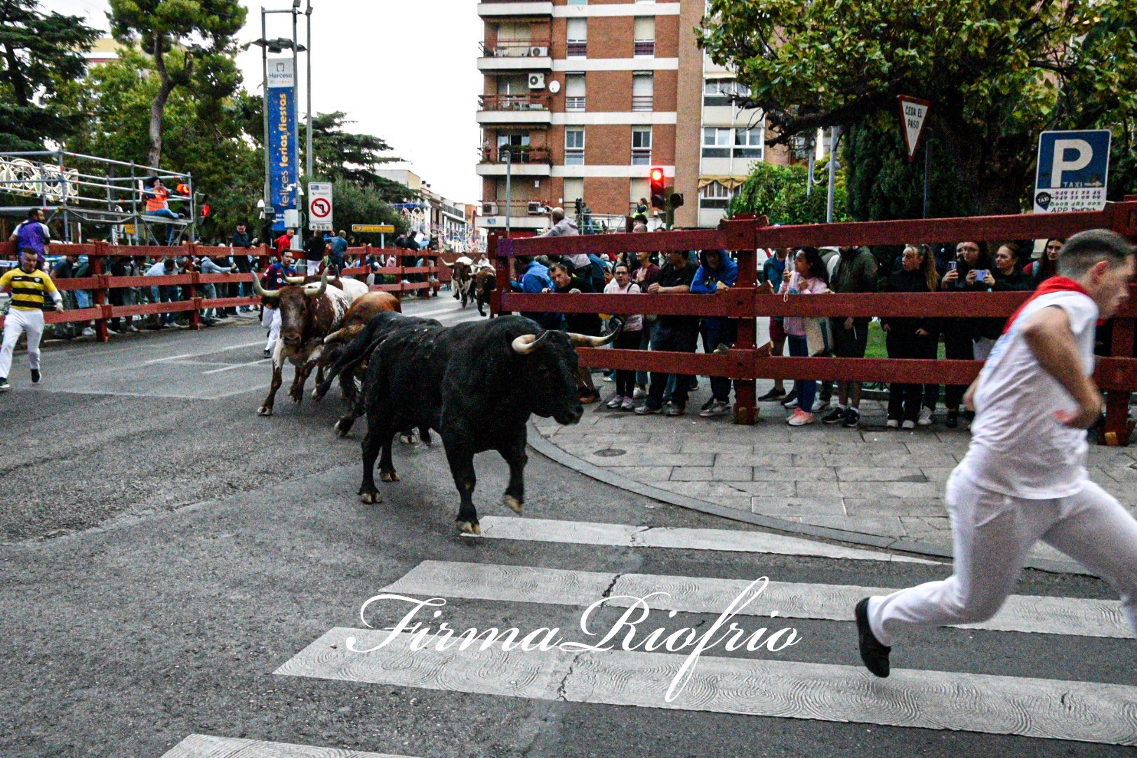 Imagen 4