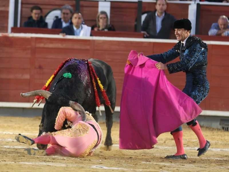 Damián Castaño sufre una fuerte cogida en Albacete