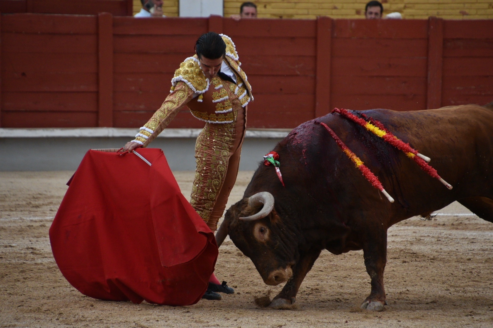 Imagen 1