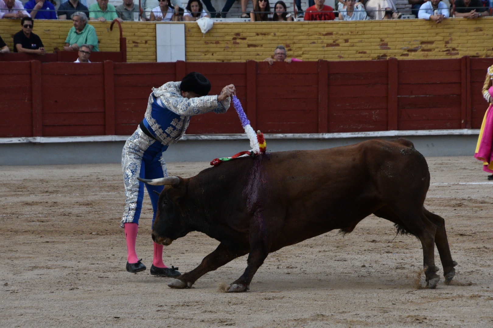 Imagen 2