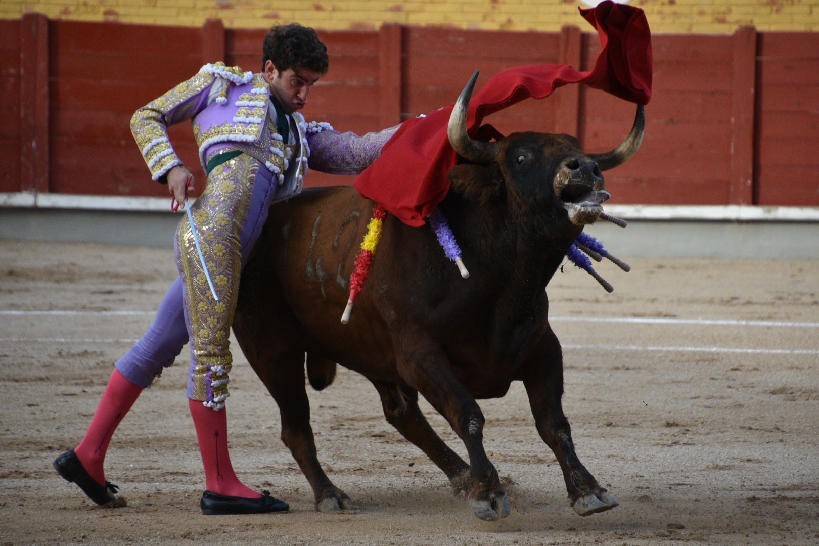 Imagen 3