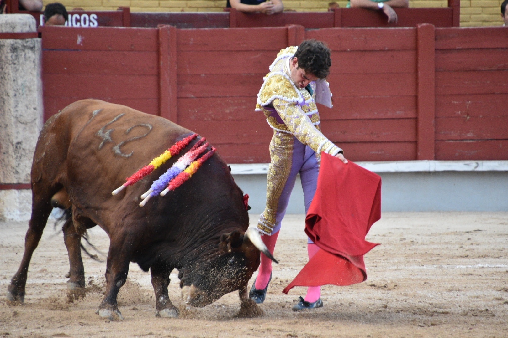 Imagen 5