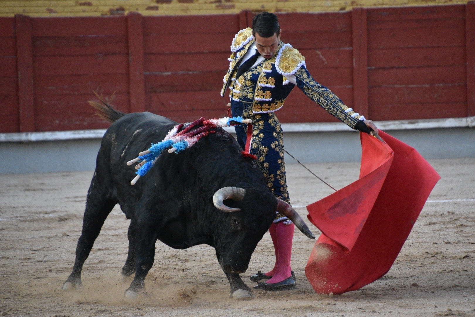 Imagen 6