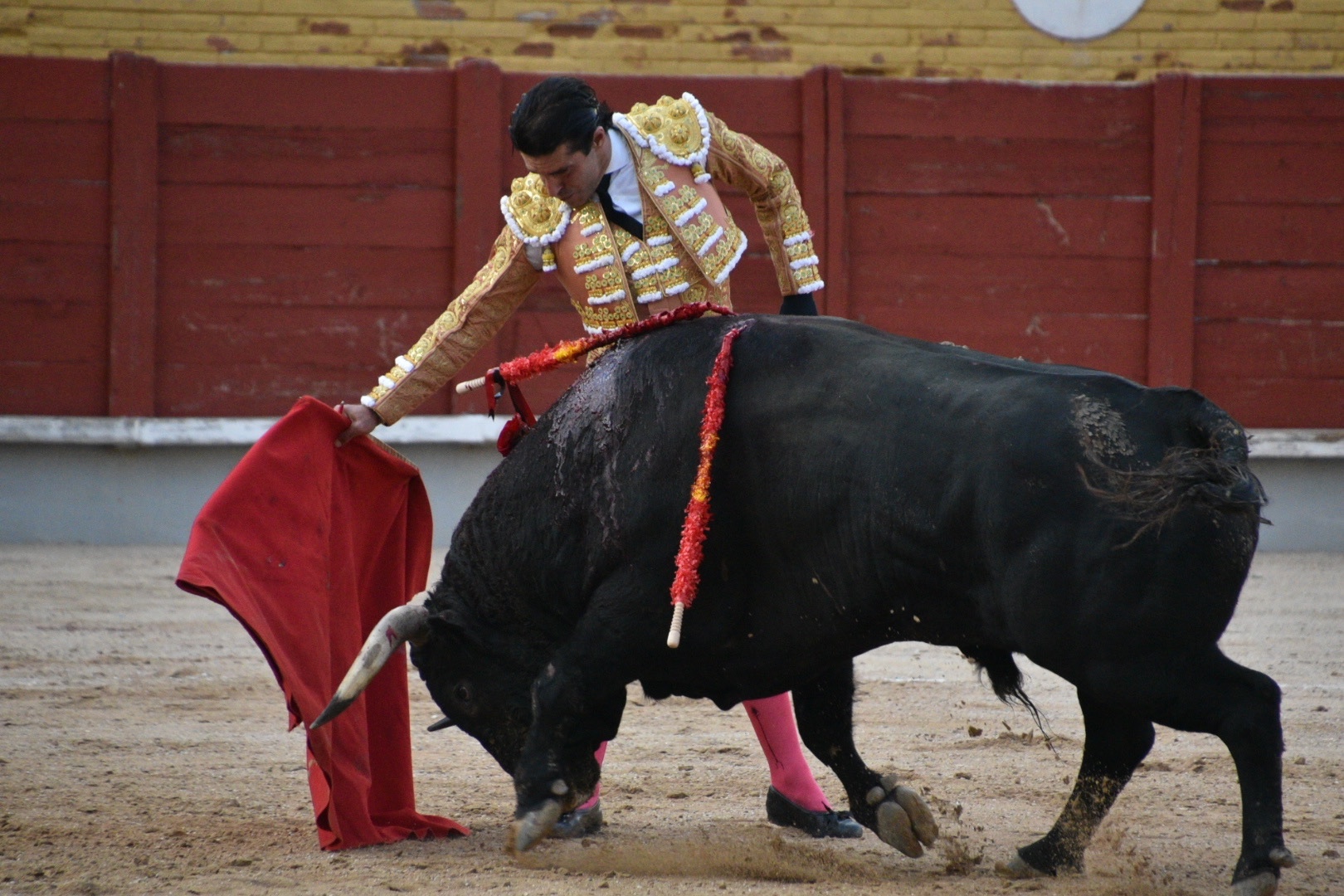Imagen 7