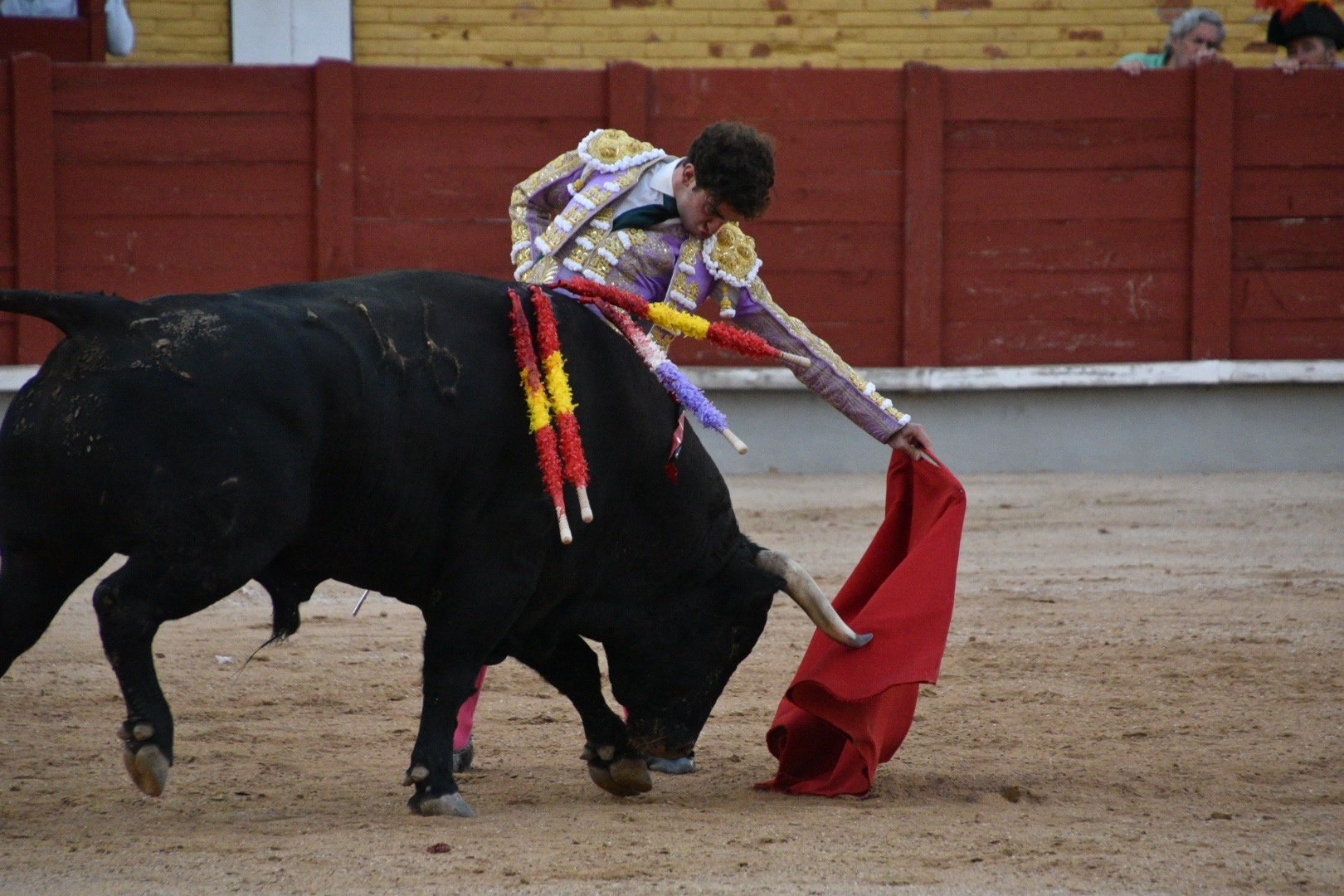 Imagen 8