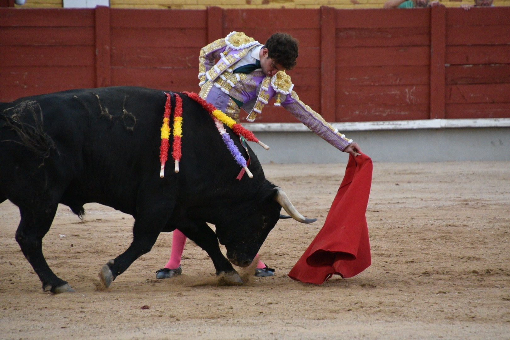 Imagen 9