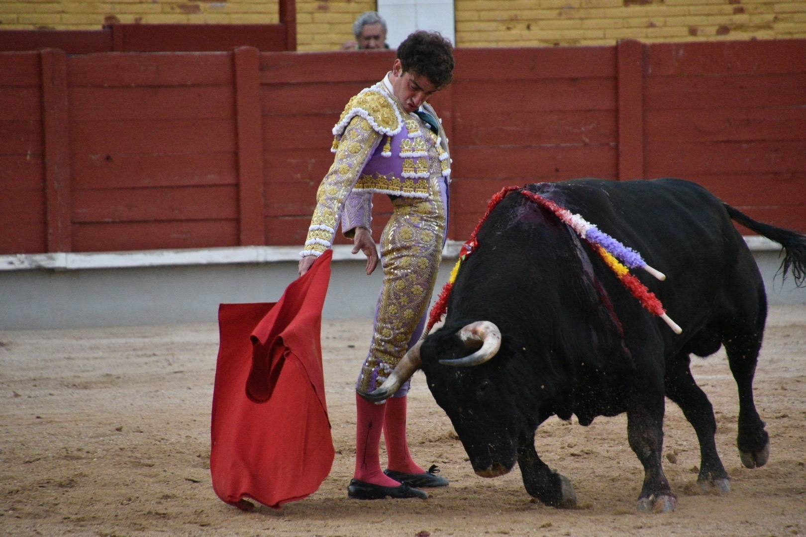 Imagen 10